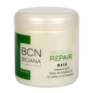 ABSOLUTE REPAIR MASK