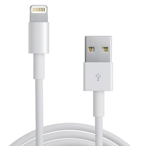 Cable Lightning a USB 1 metro
