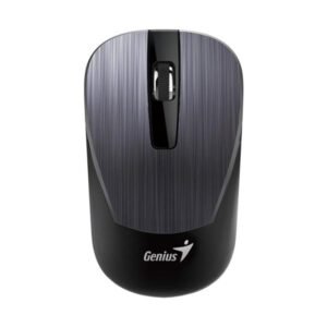 MOUSE GENIUS RS2 NX-7015 IRON GRIS 31030019400